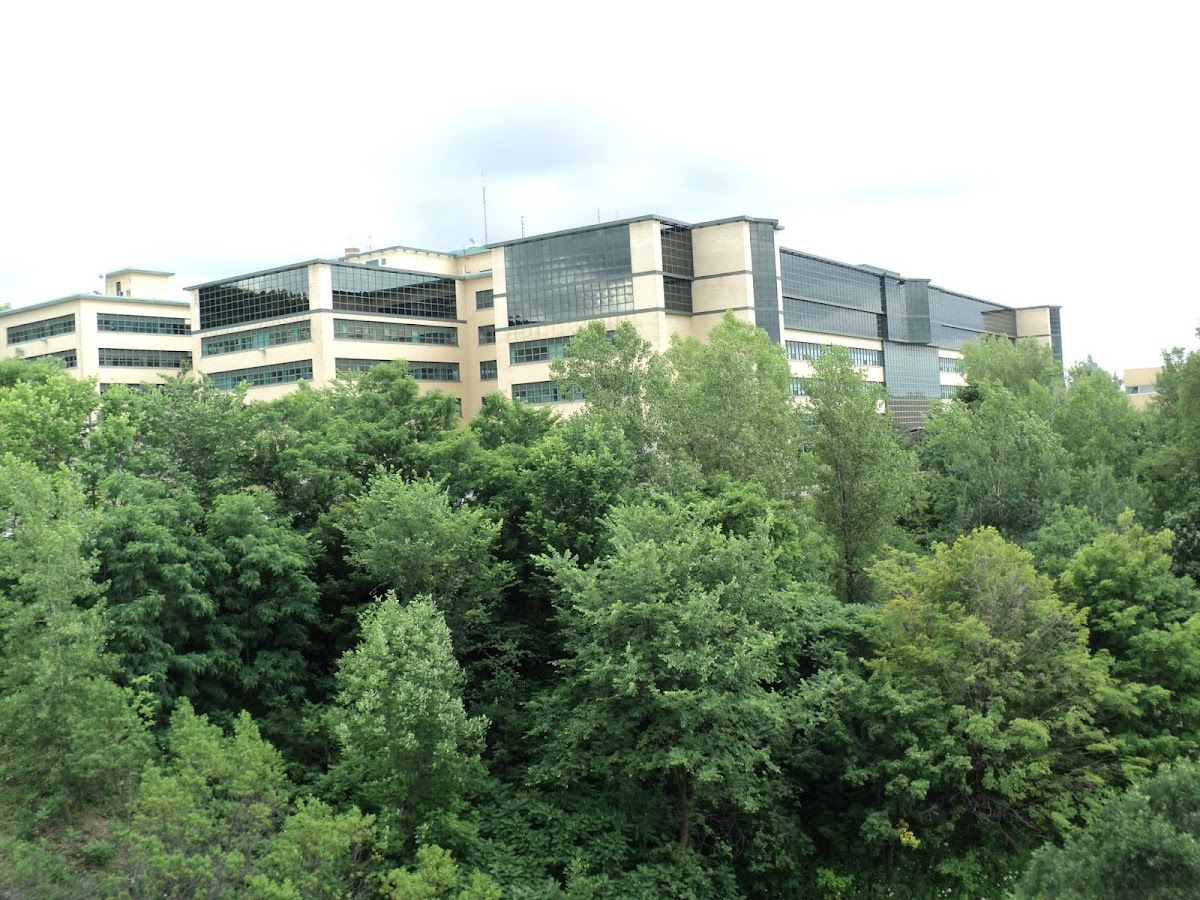 University of Montreal photo 4