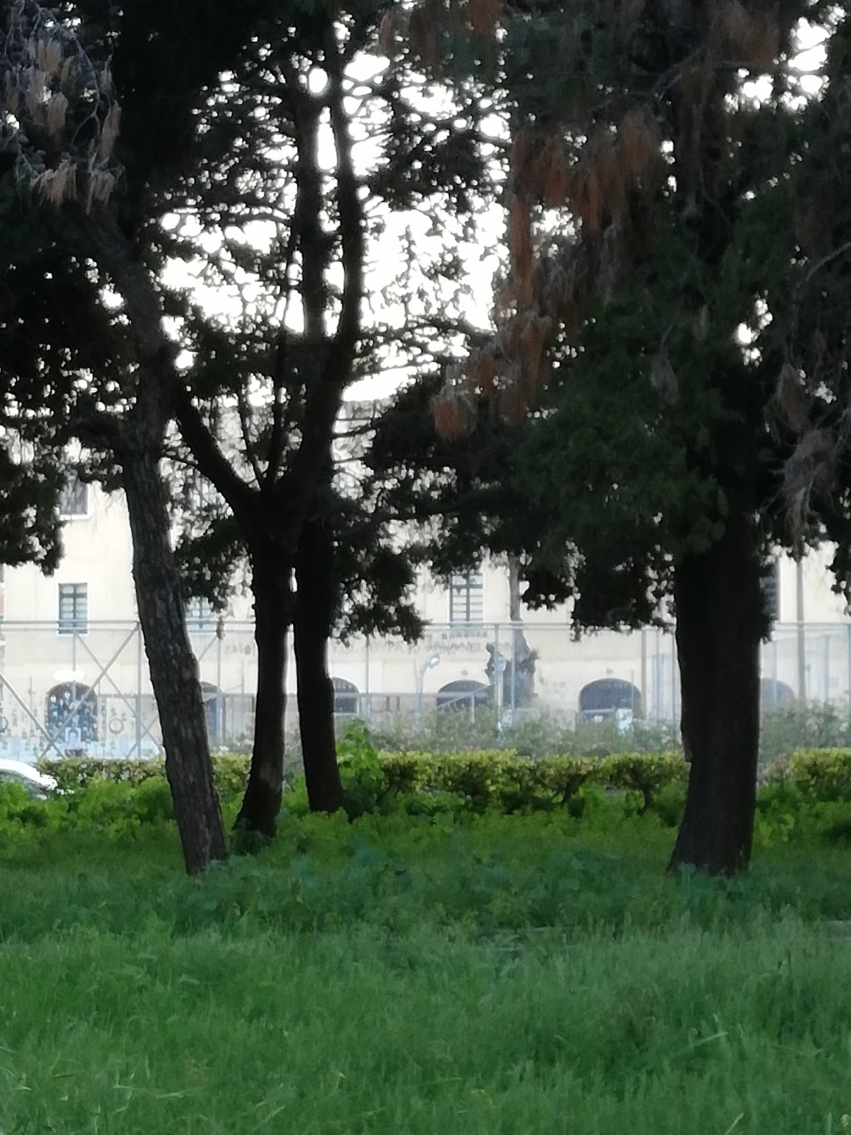 University of the Aegean - Rhodes photo 7