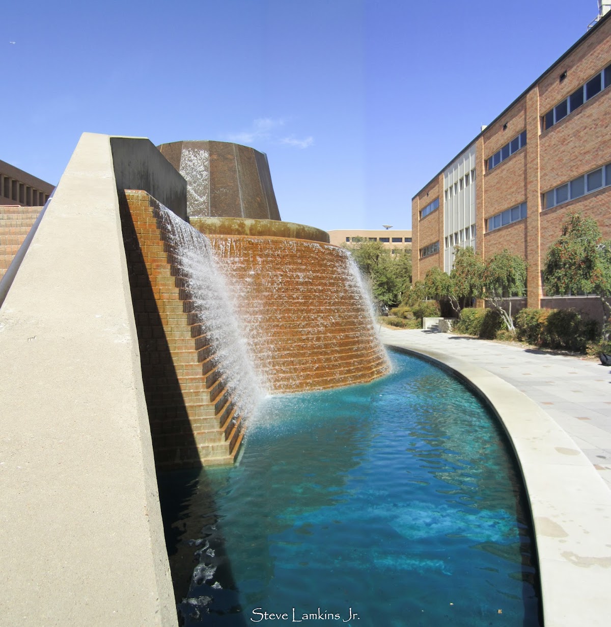 UT Arlington photo 8