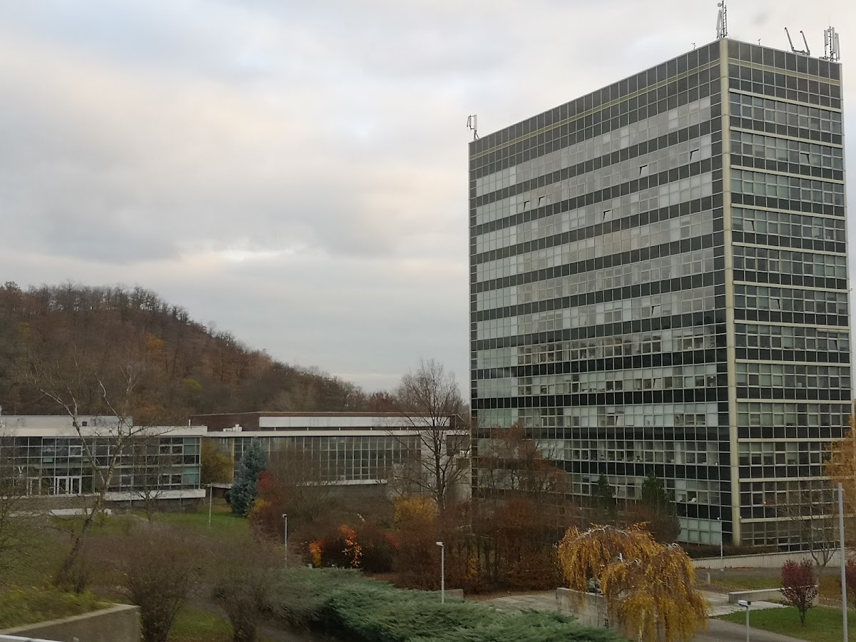 College of Information Technology and Management photo 6
