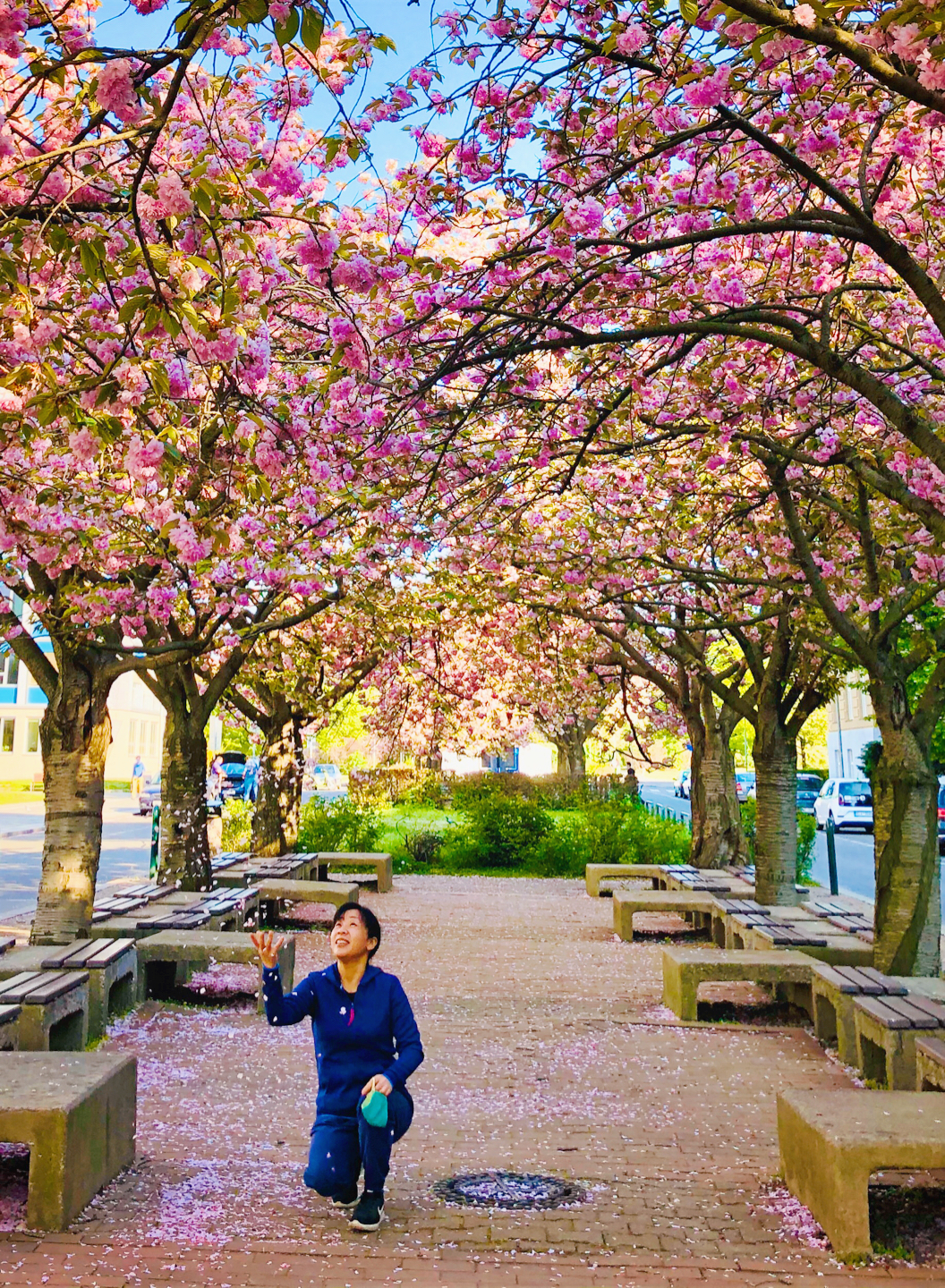 College of Information Technology and Management photo 9