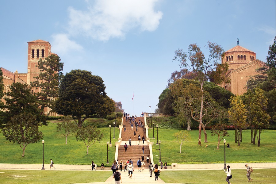 University_1256 photo 1