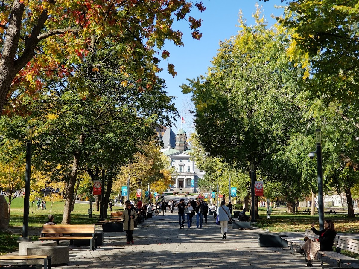 McGill University photo 7
