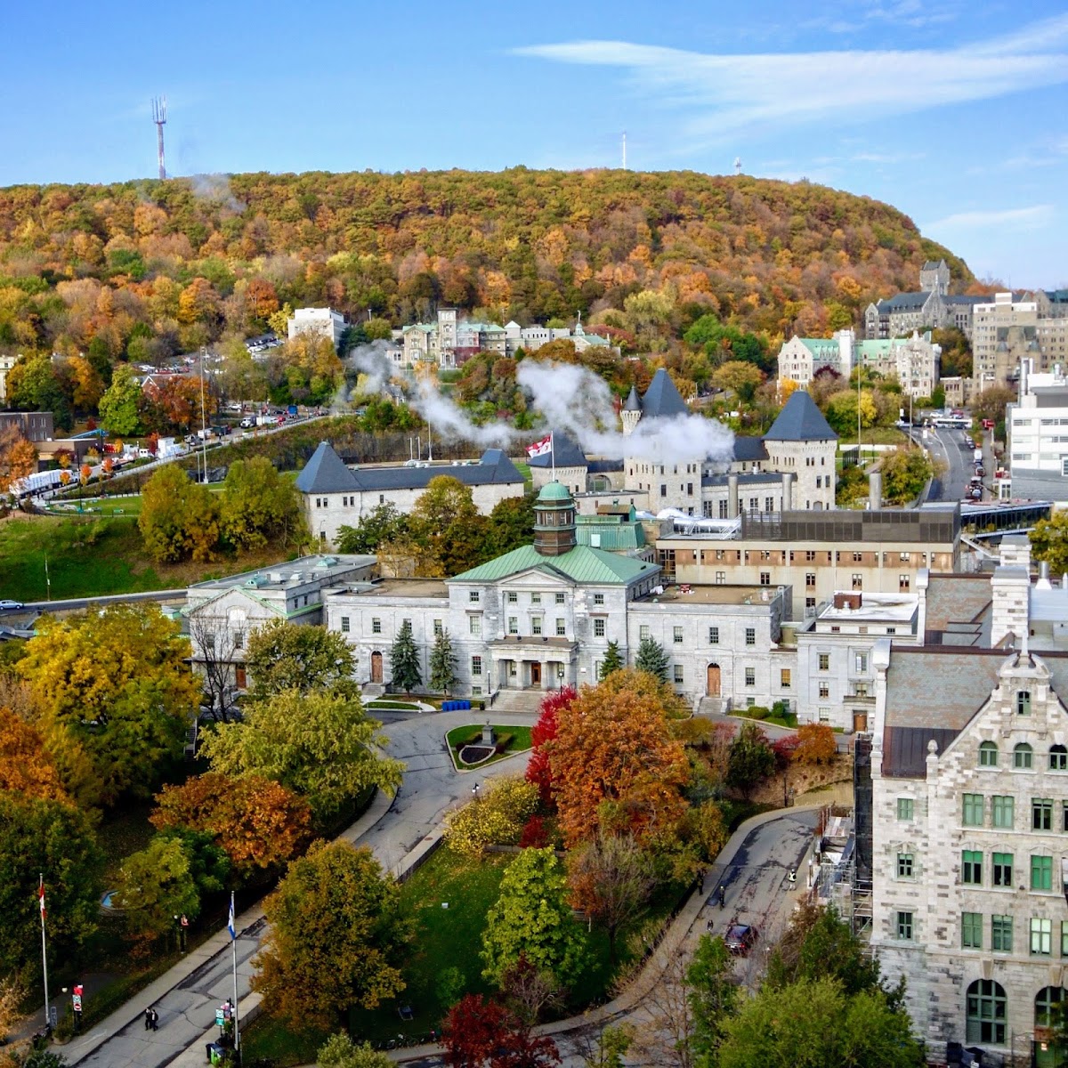 McGill University photo 8