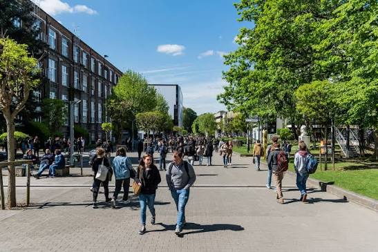Université Libre de Bruxelles photo 3