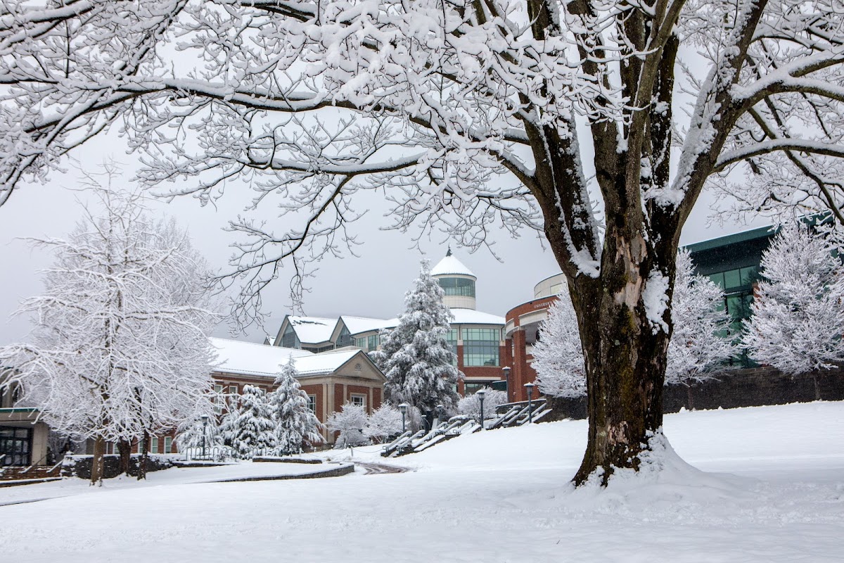 Appalachian State University photo 5