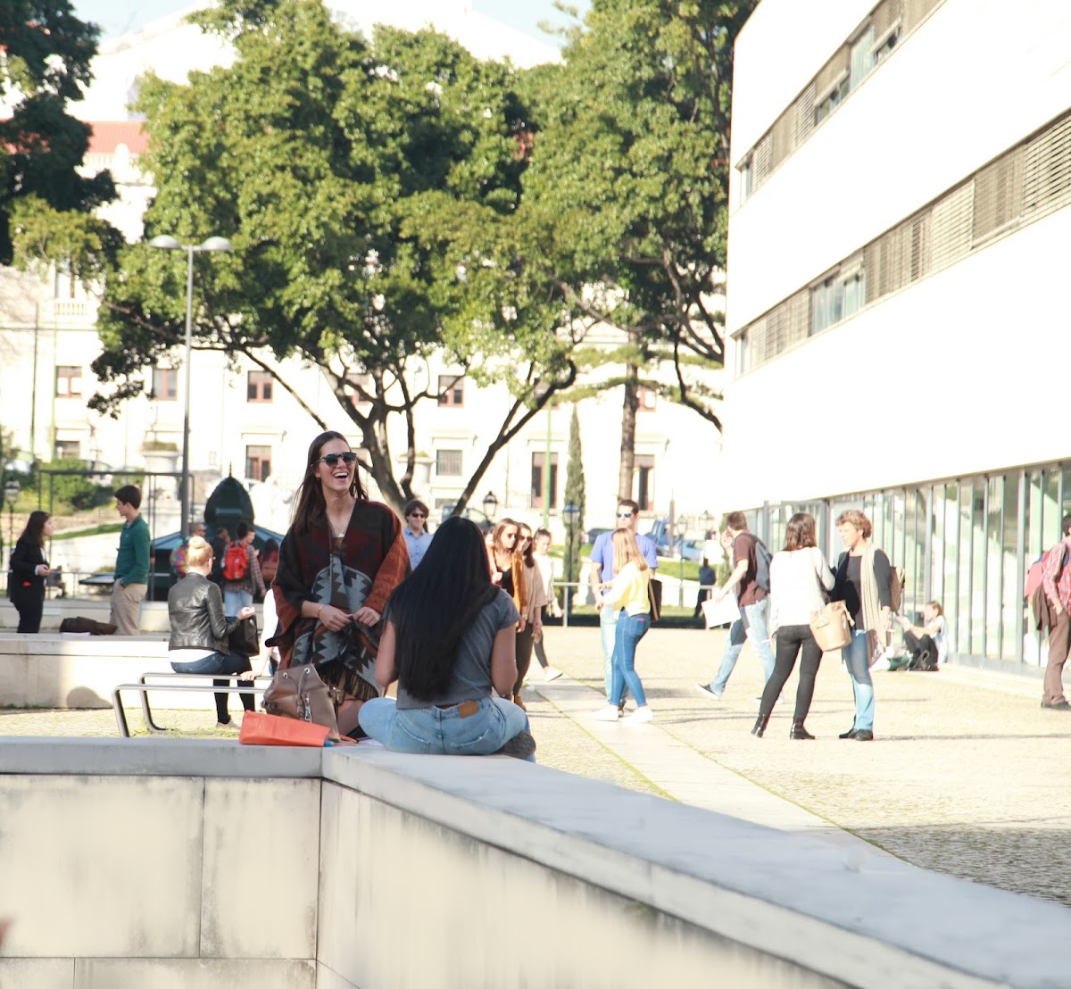 Instituto Superior de Economia e Gestão (ISEG) photo 8