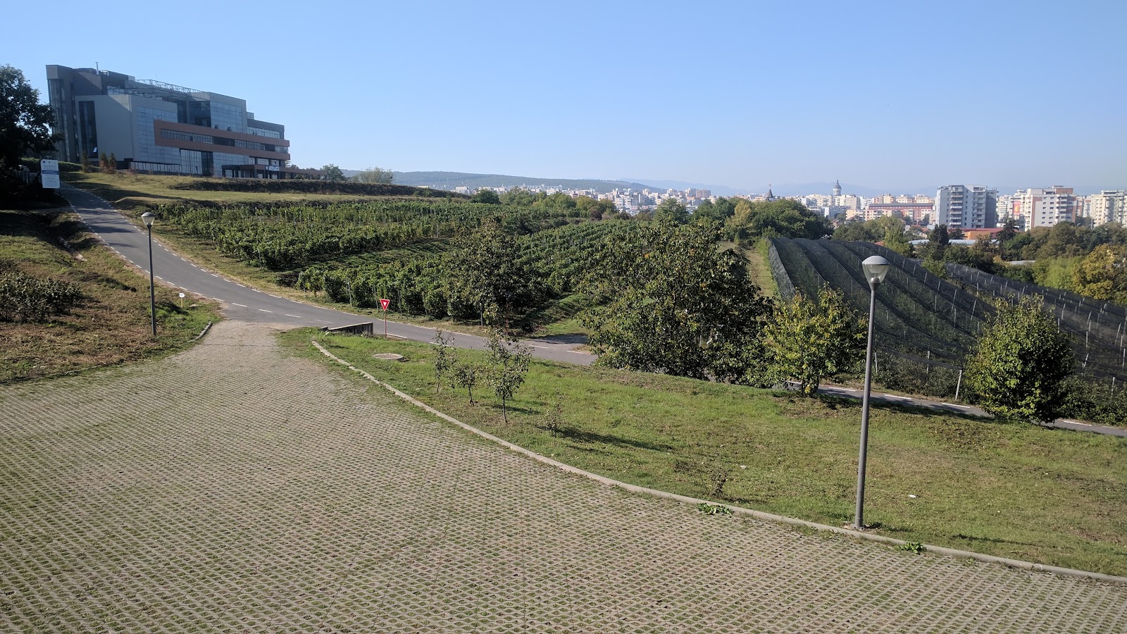 Cluj-Napoca