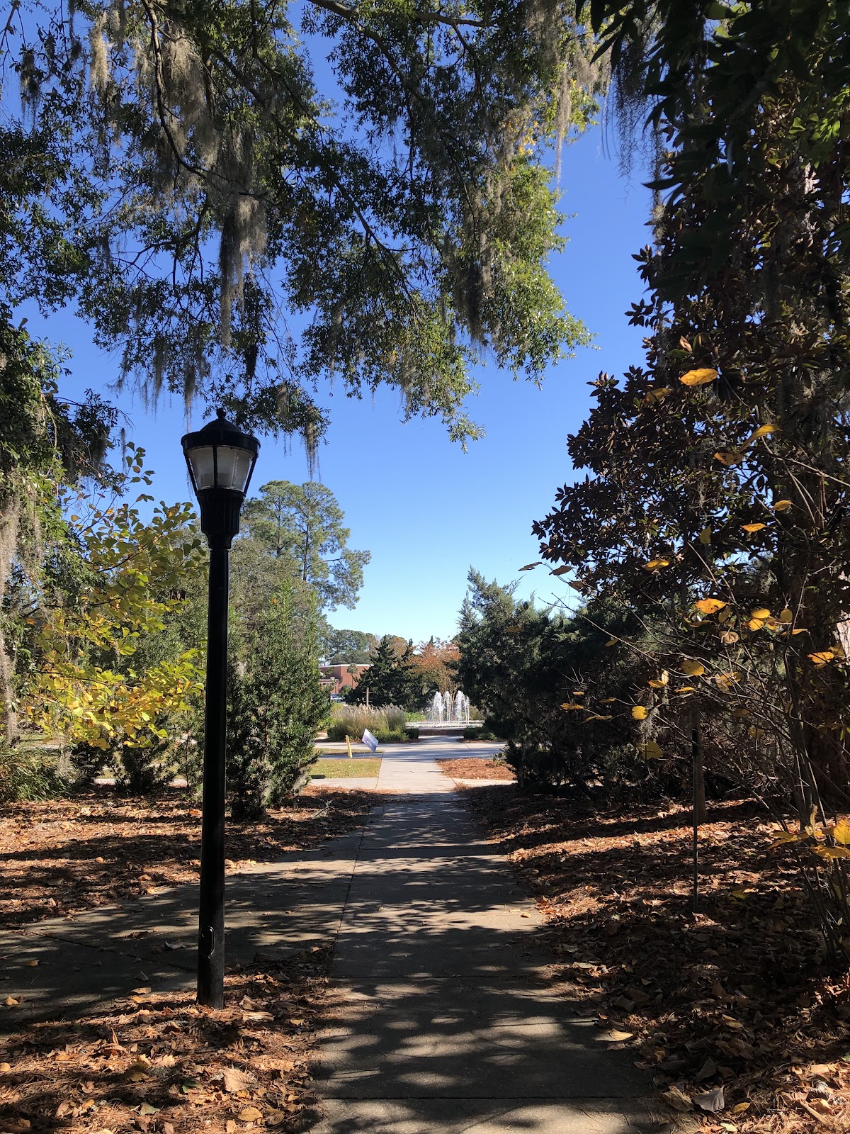 Armstrong State photo 6
