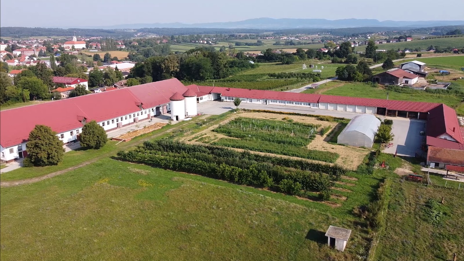 Križevci