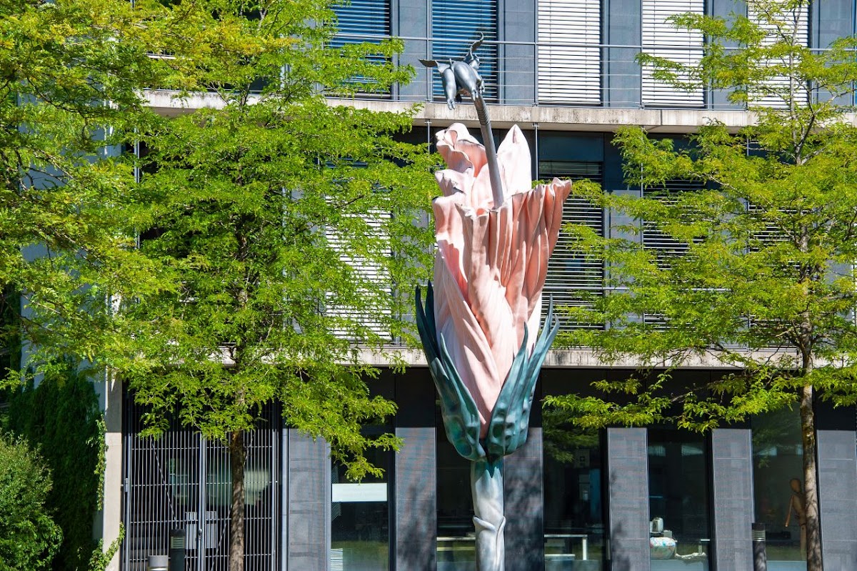 FH Augsburg photo 4