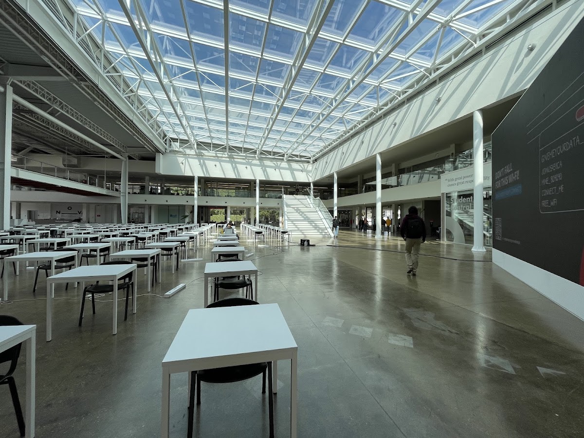 Nova School of Business and Economics photo 8