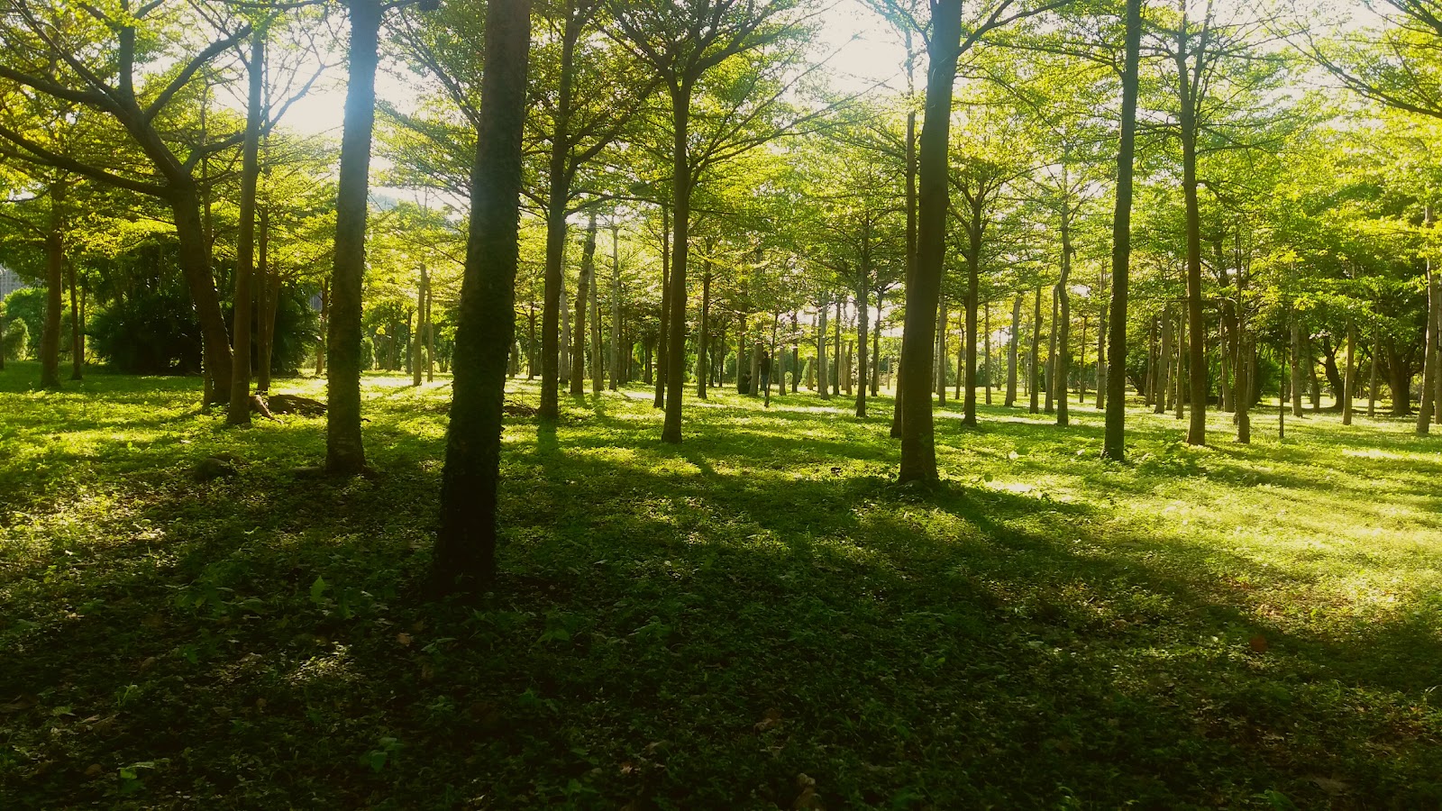 University of Taipei campus