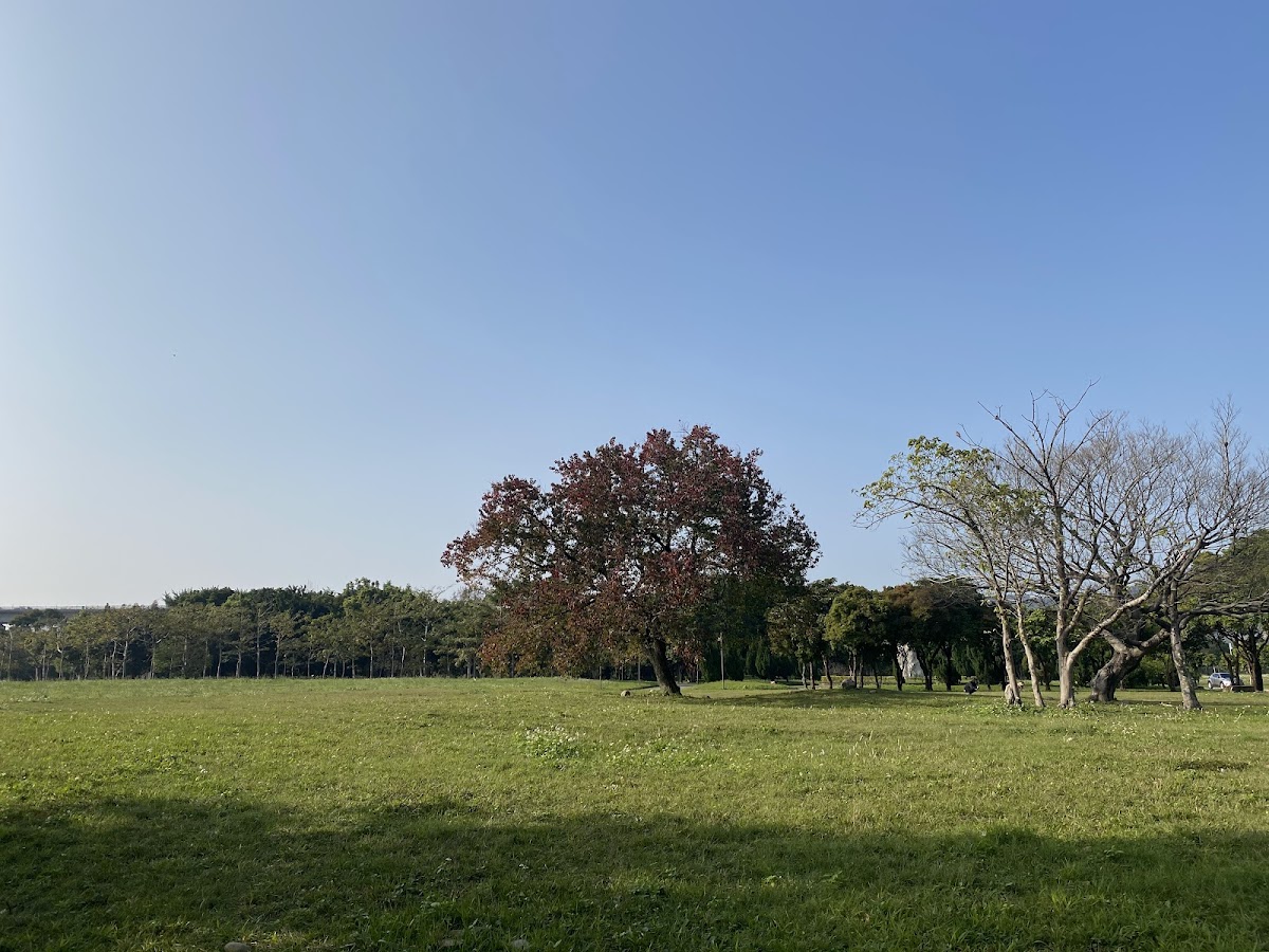 University of Taipei photo 8