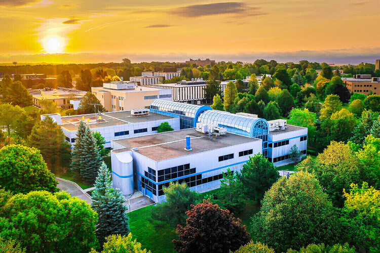 University of Moncton photo 1