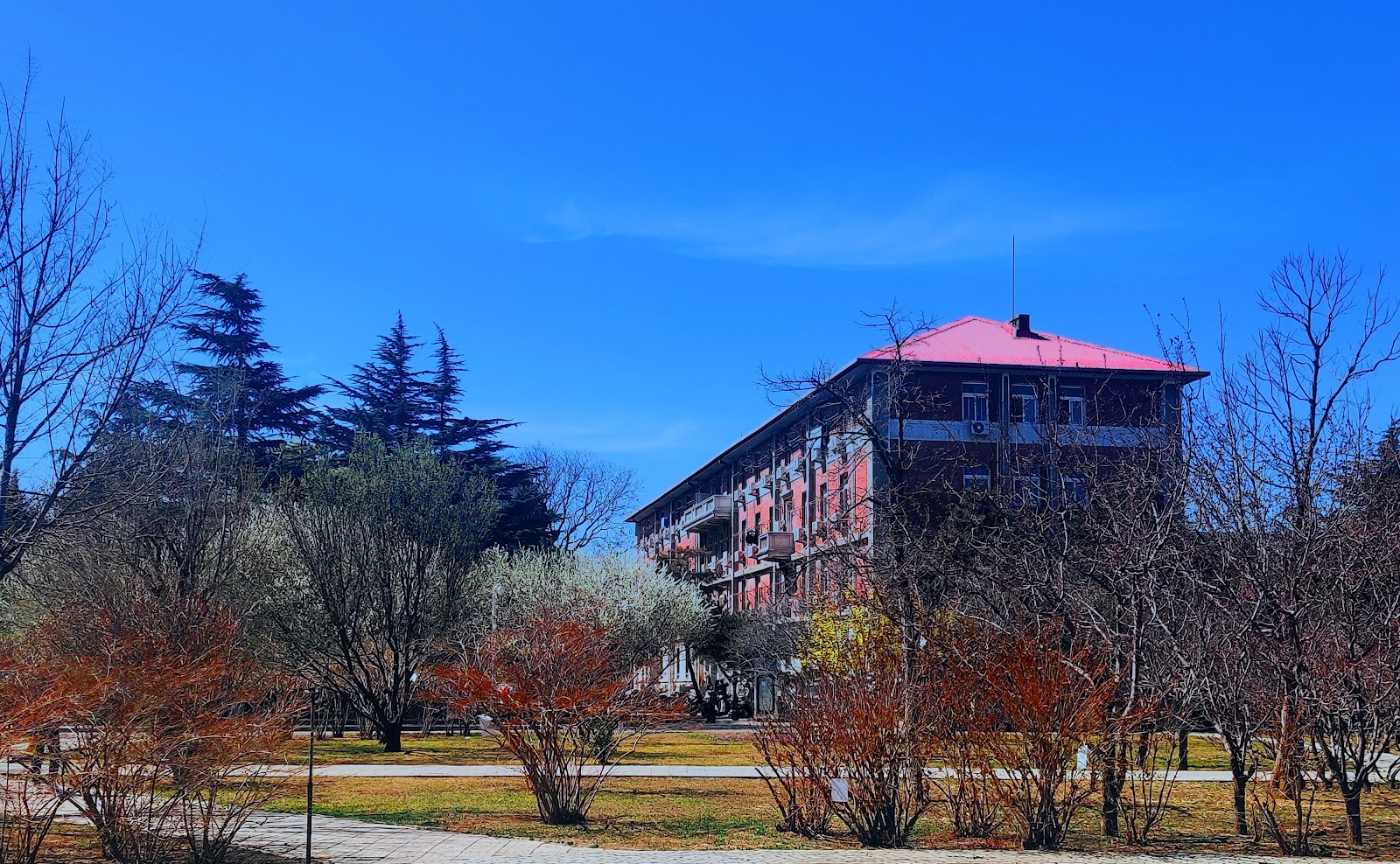 China Agricultural University campus