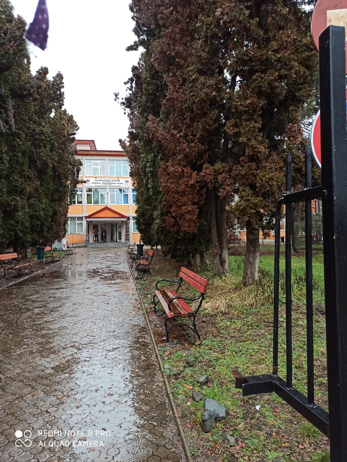 North University of Baia Mare photo 5