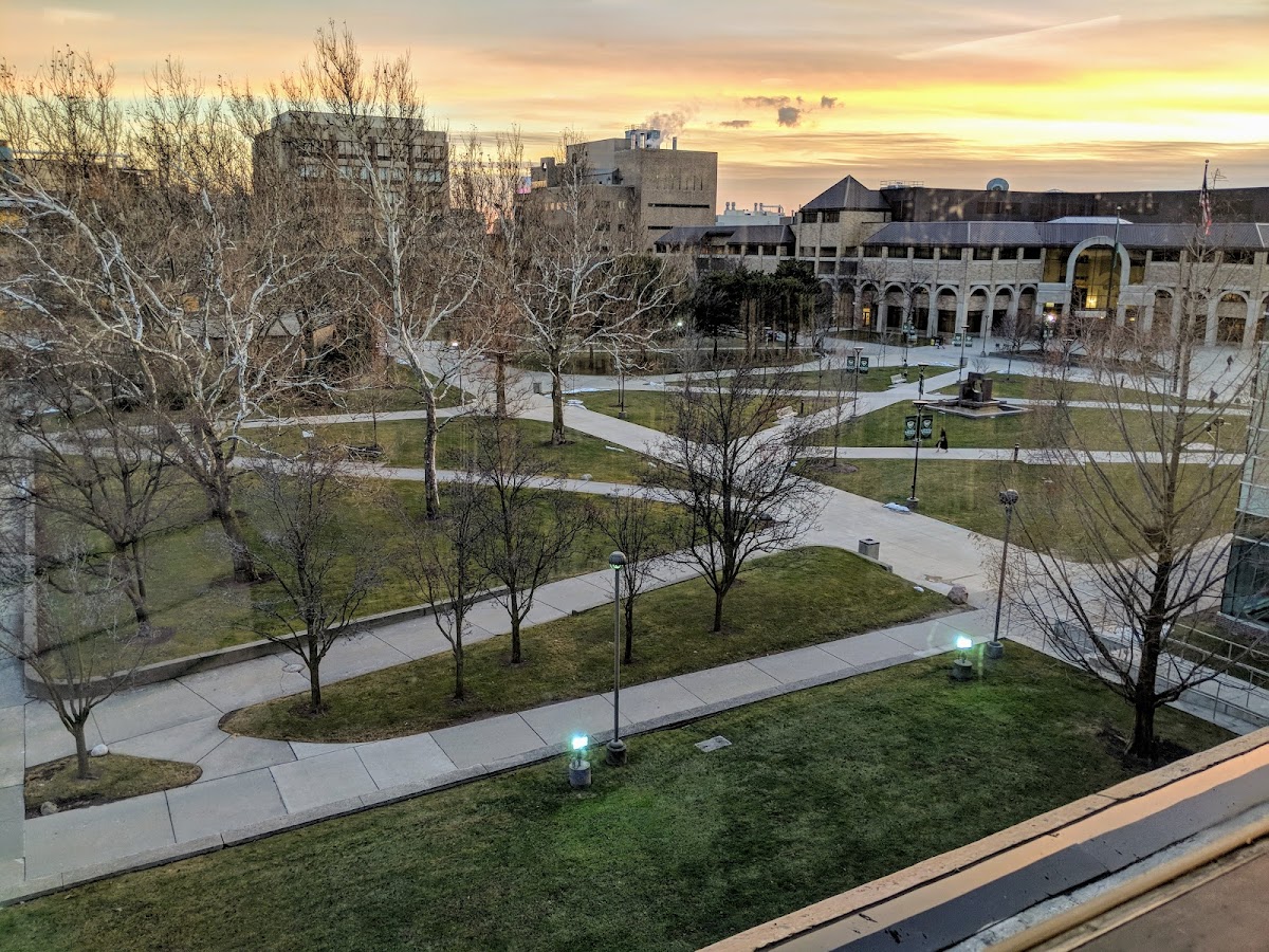 State University 2499 photo 7