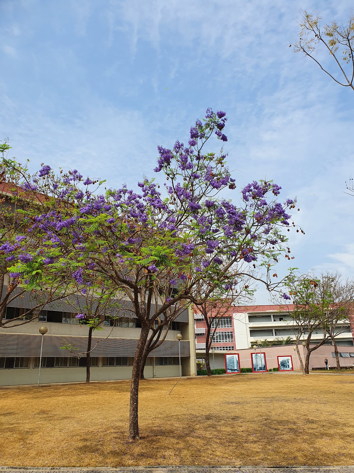 Federal University of Technology - Minas Gerais photo 9