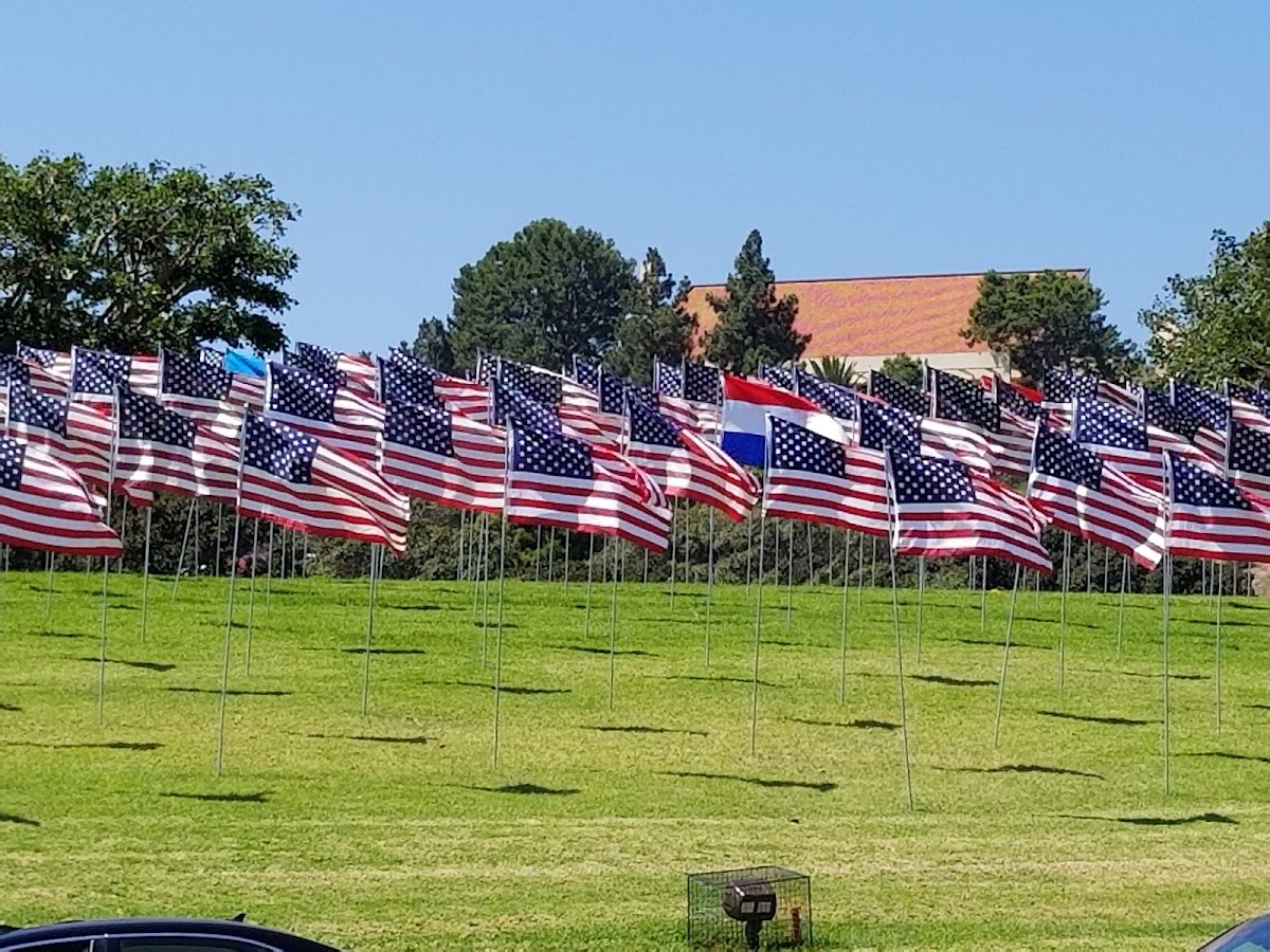 Pepperdine University photo 3