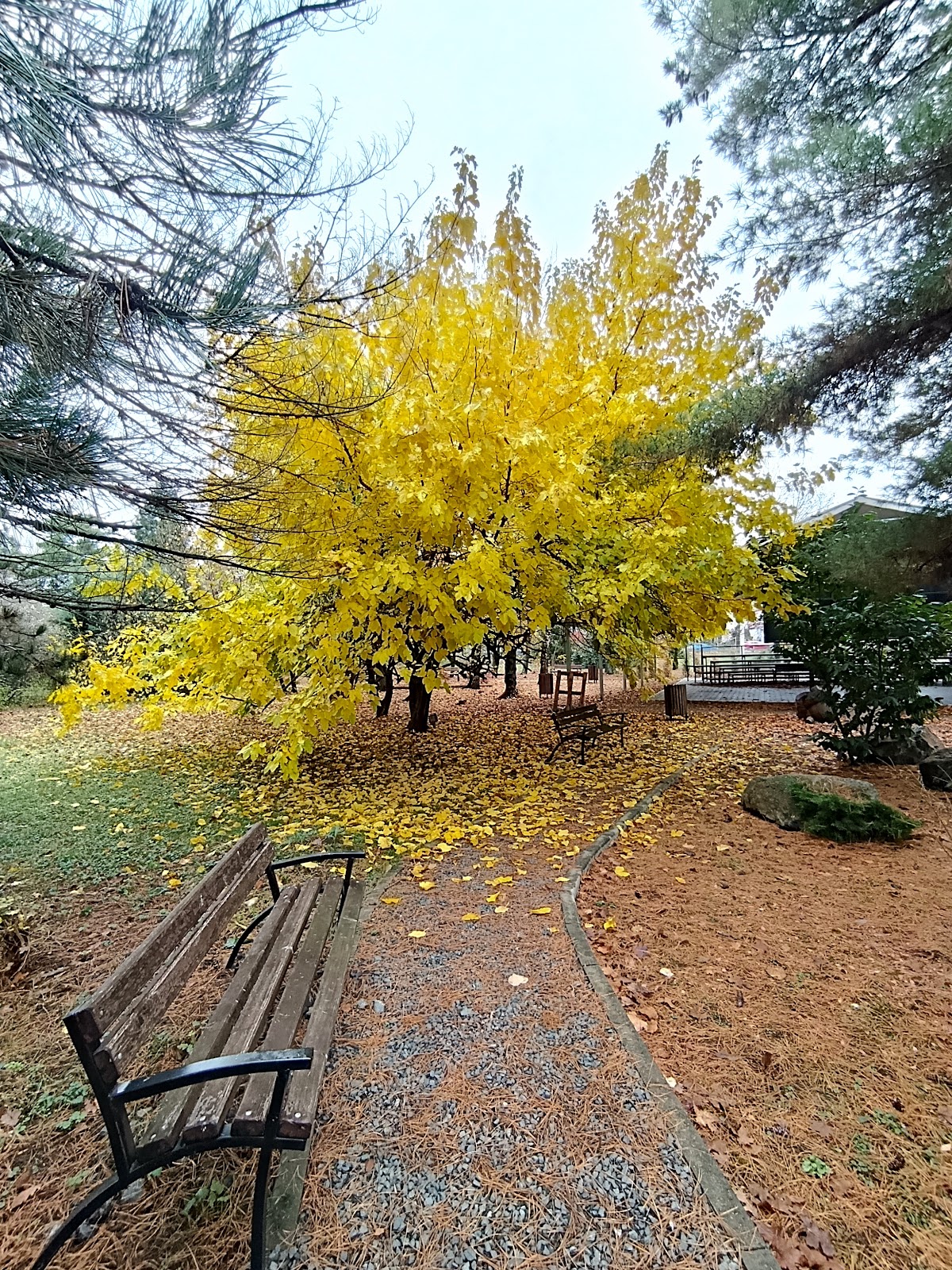 Banat University of Agricultural Sciences and Veterinary Medicine photo 9