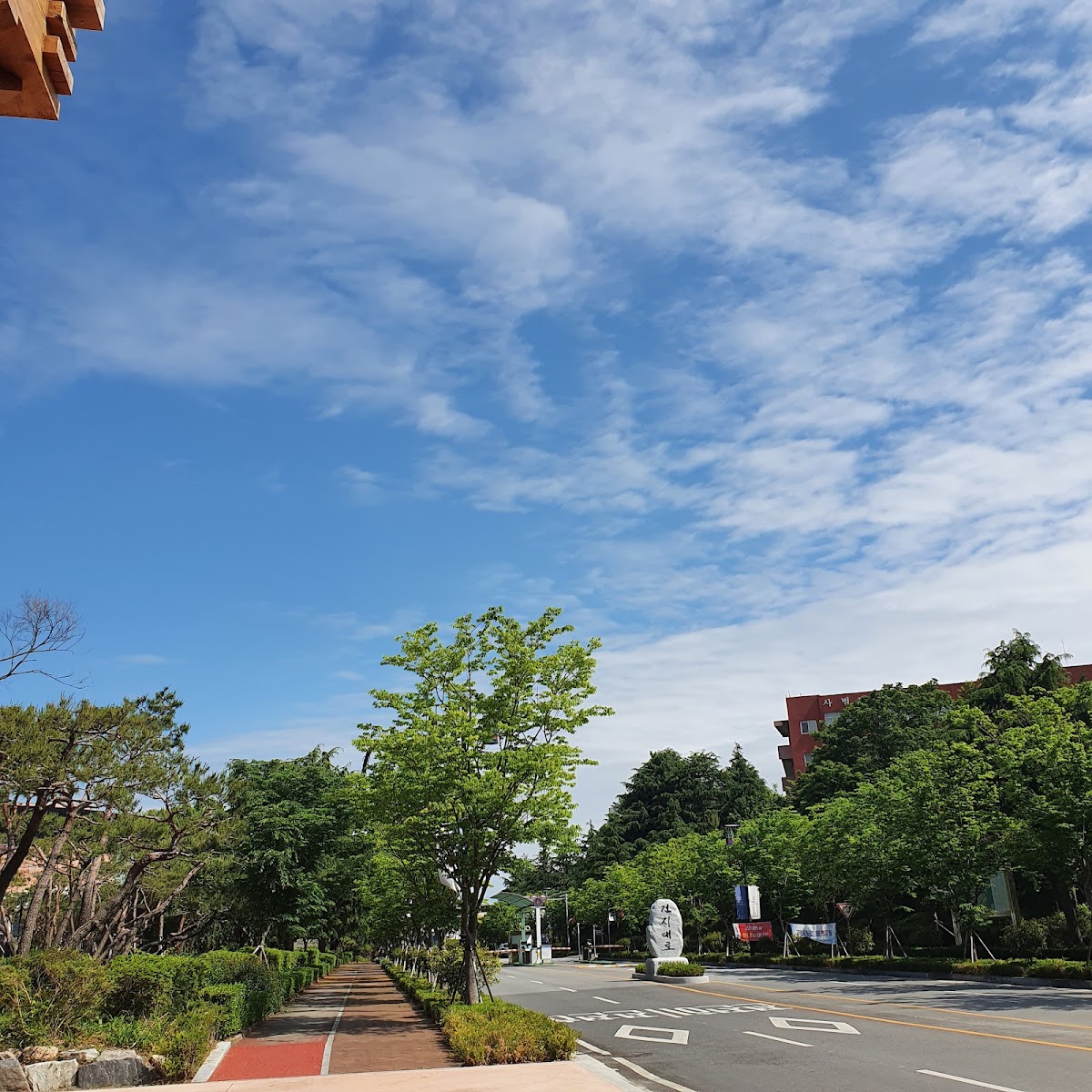 Jeonbuk National University photo 9
