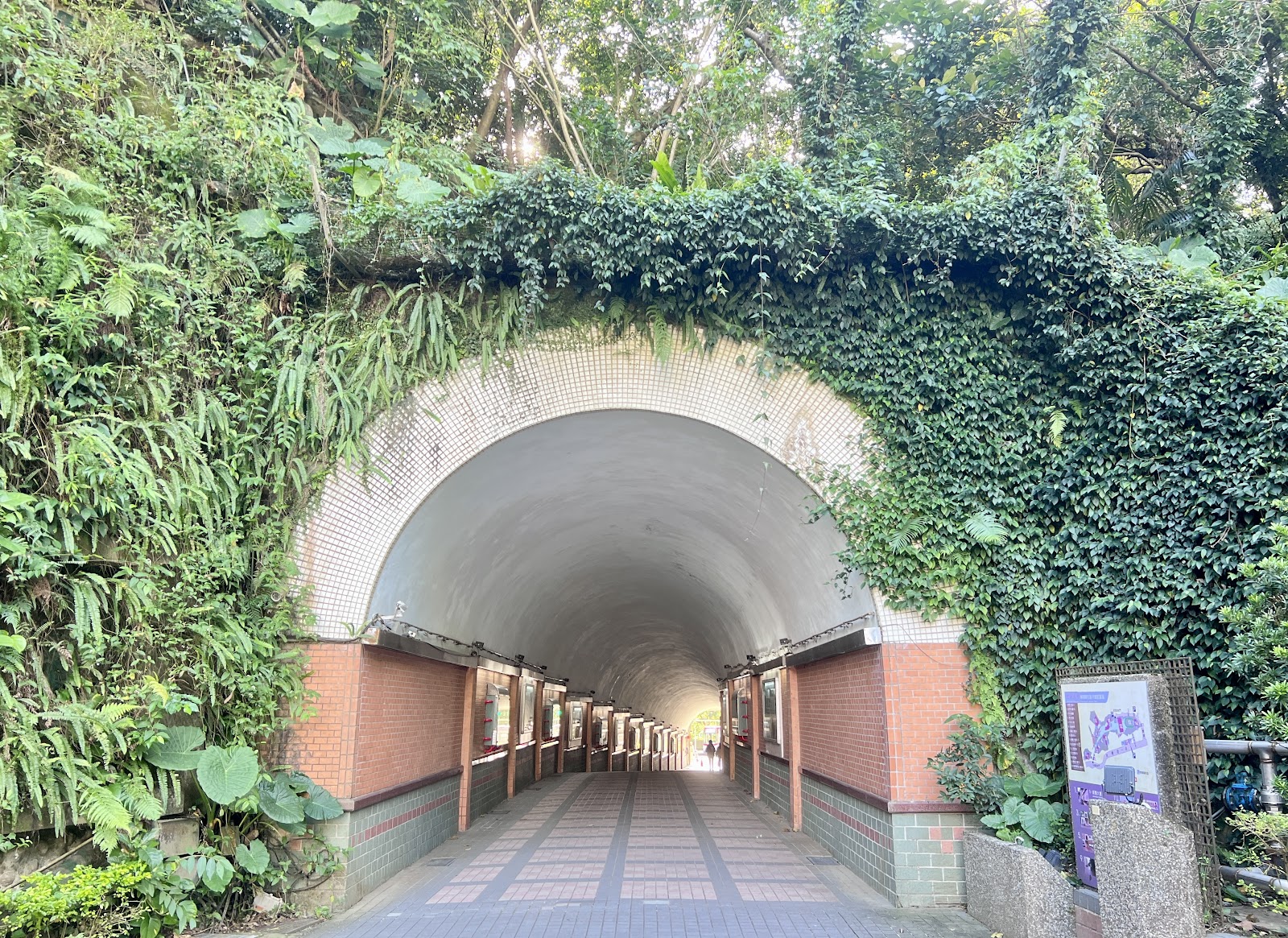  Shih Hsin University campus