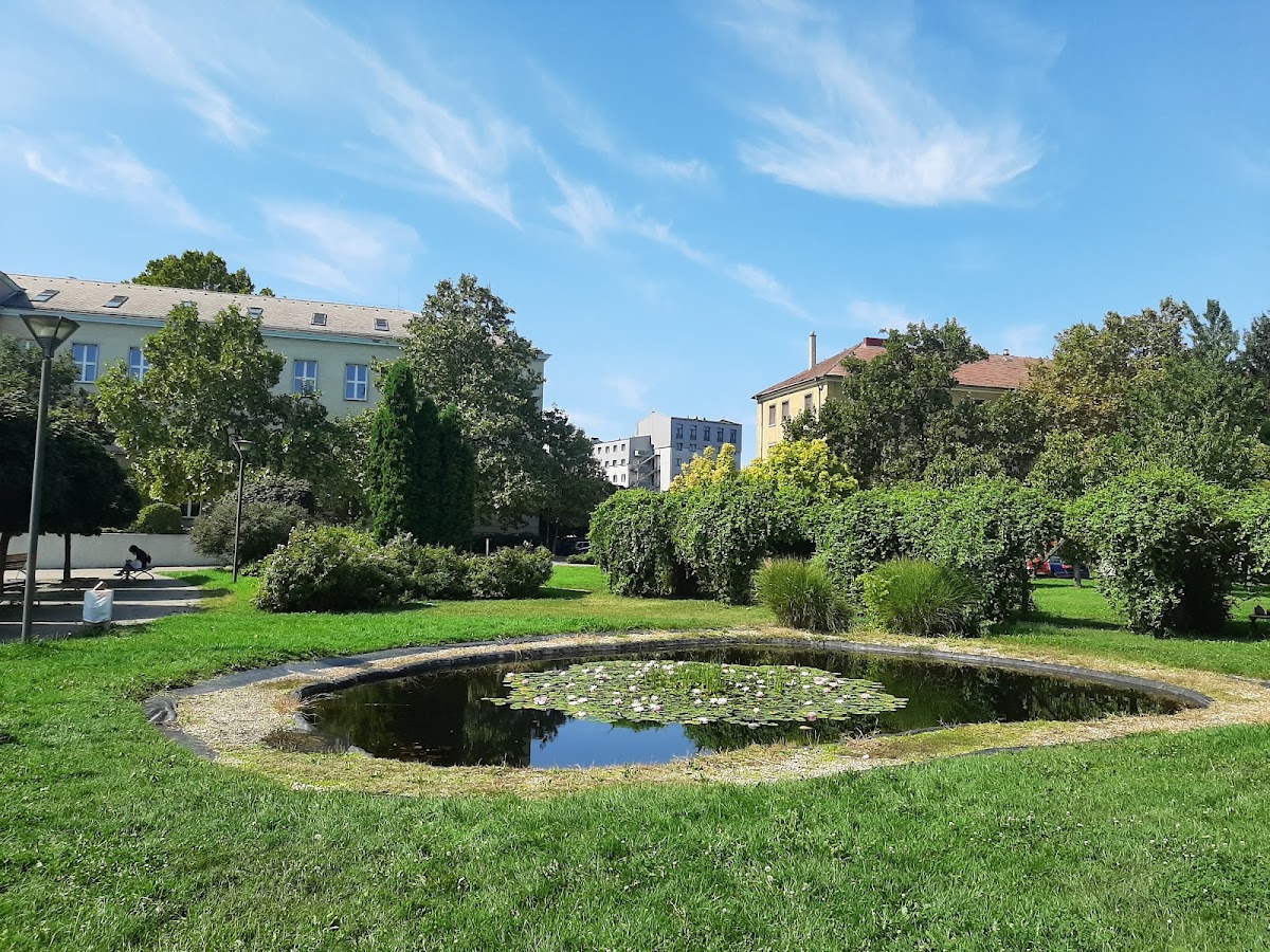 University of Dunaújváros photo 6