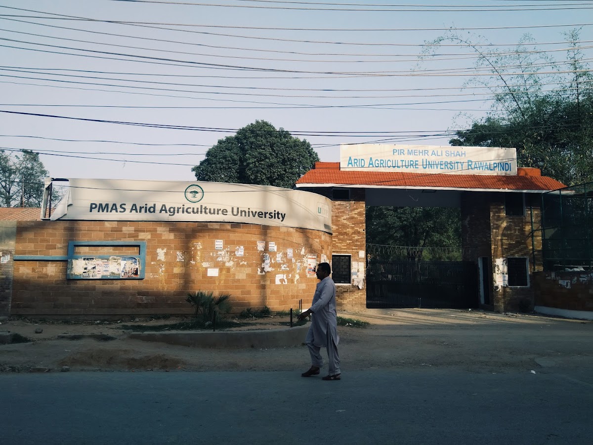 Pir Mehr Ali Shah Arid Agriculture University photo 5