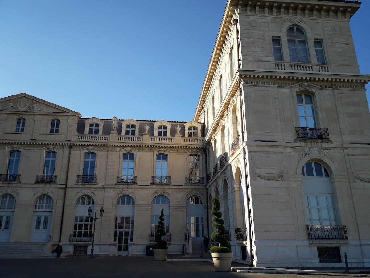 Aix-Marseille University photo 4