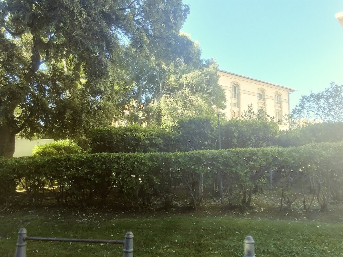 Aix-Marseille University photo 6