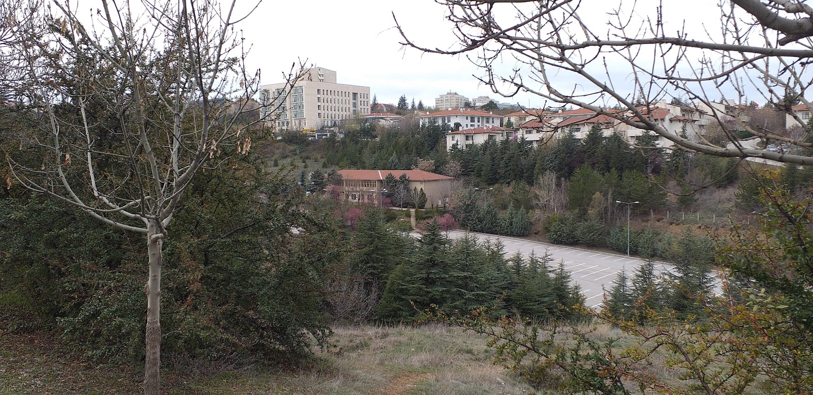 Bilkent University
