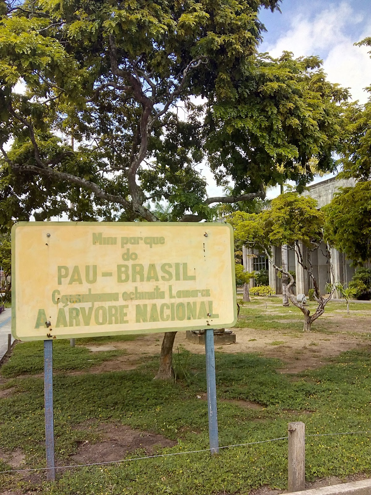 Federal University of Paraíba photo 6