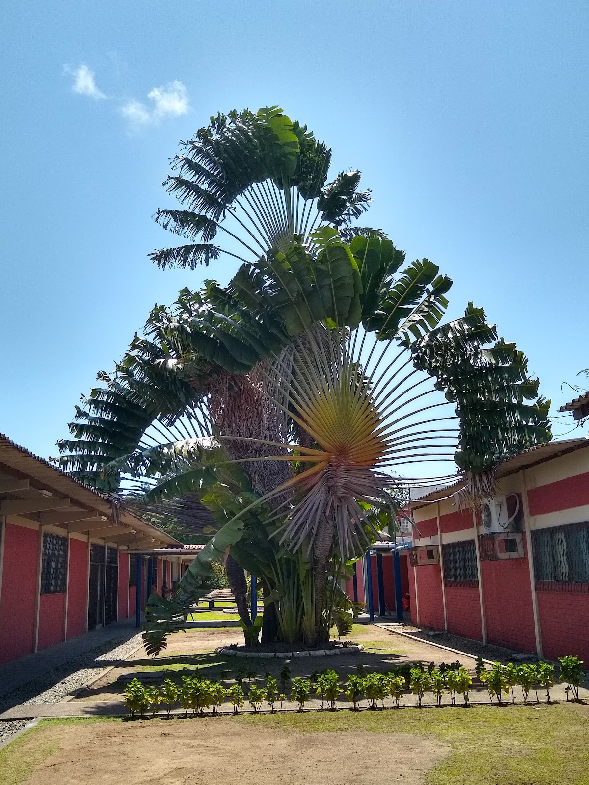 Federal University of Paraíba photo 7