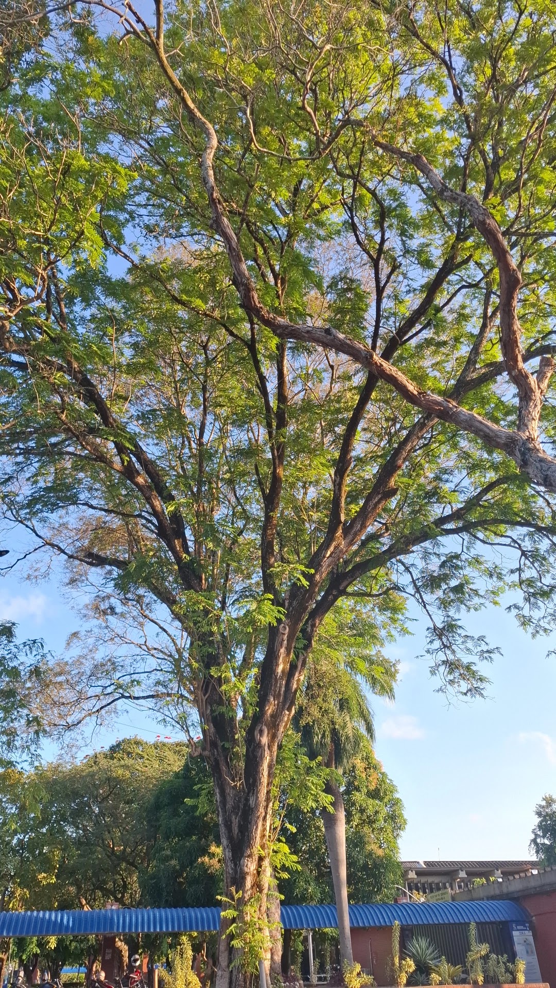 Federal University of Paraíba photo 9