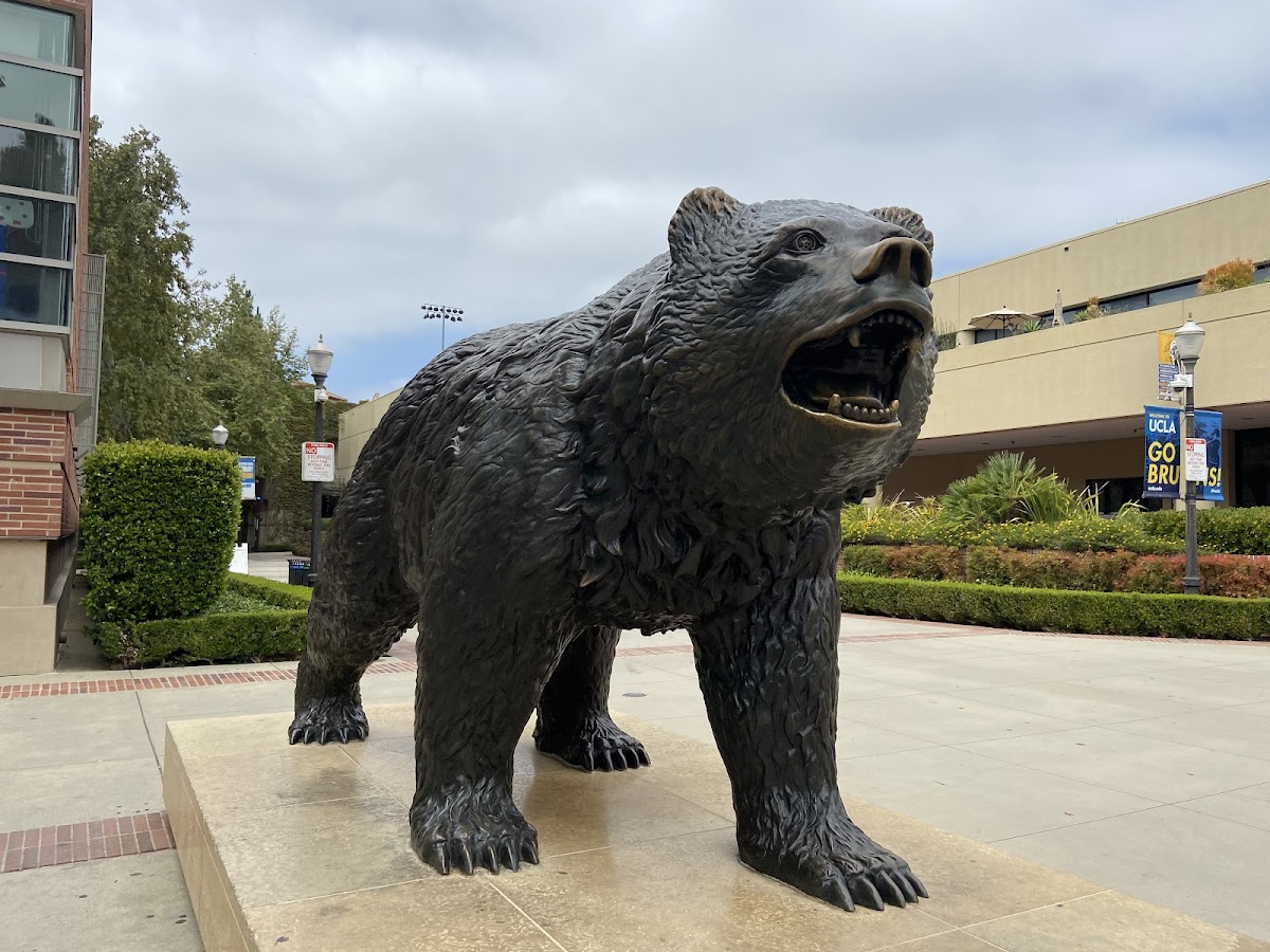 University_1159 photo 7