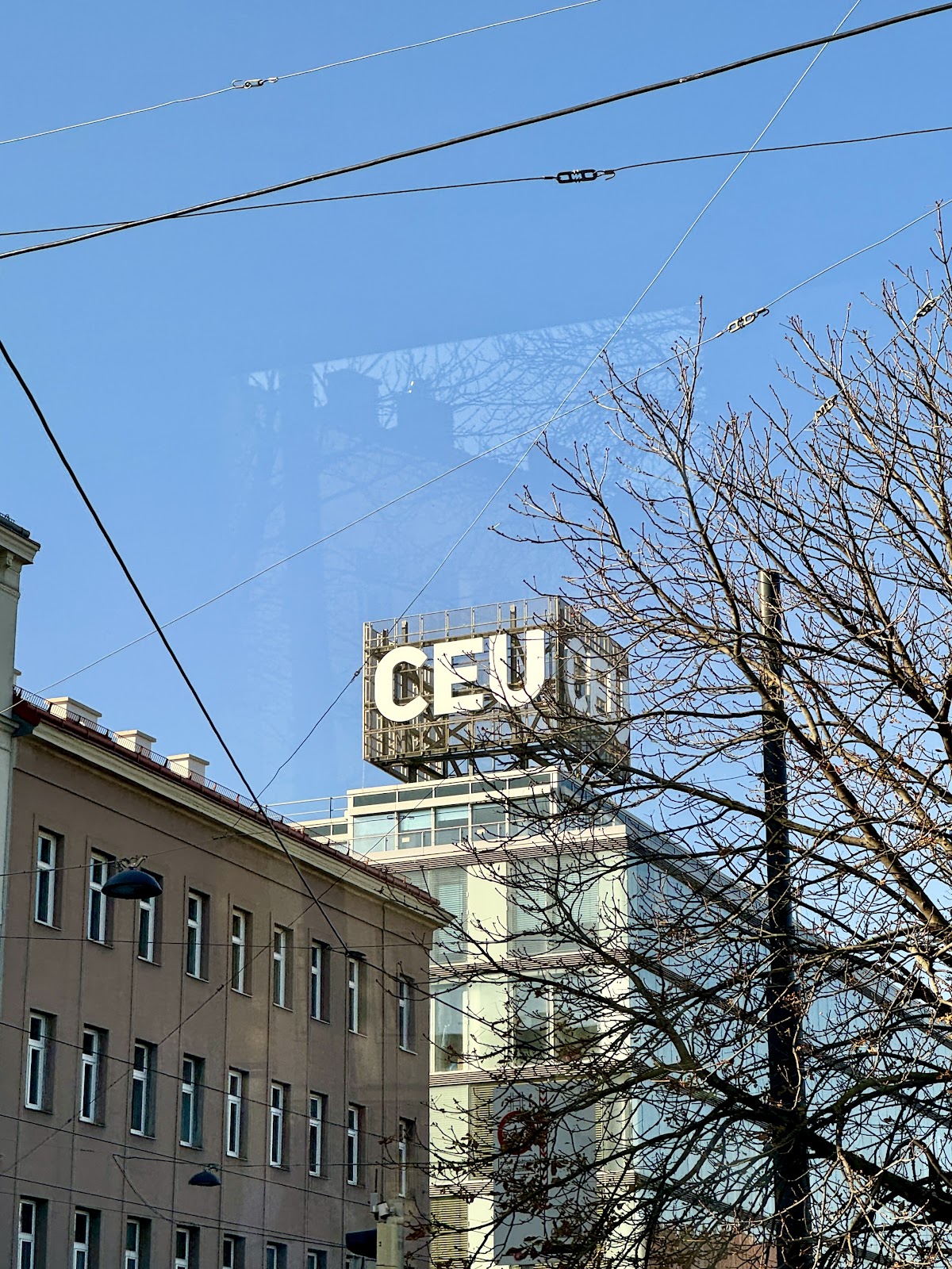 Central European University photo 5
