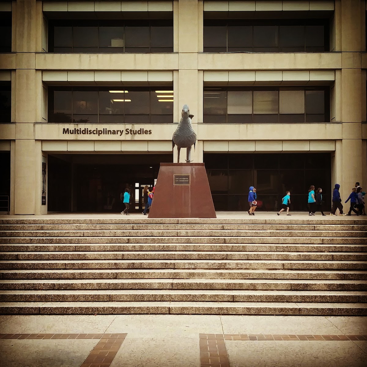 University of Texas at San Antonio photo 8
