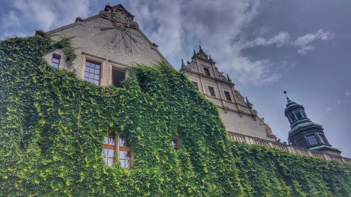 Adam Mickiewicz University photo 1