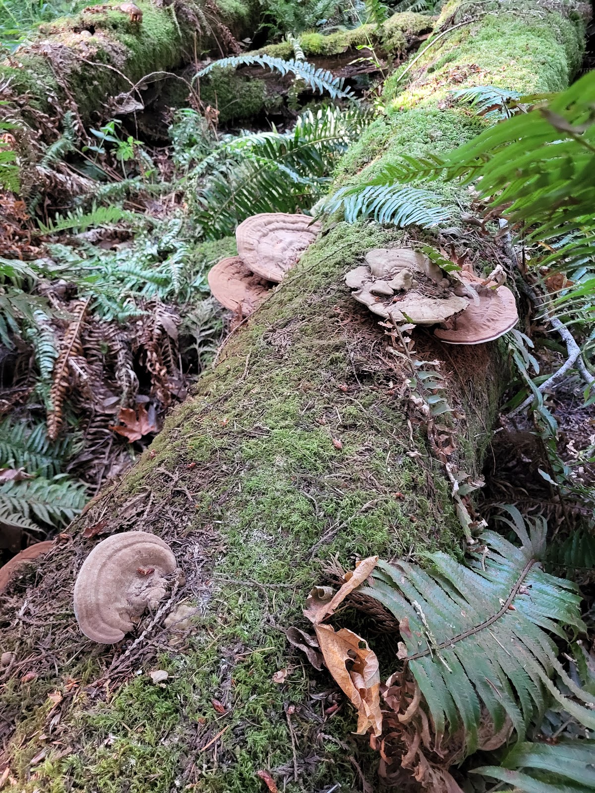 The Evergreen State College photo 9