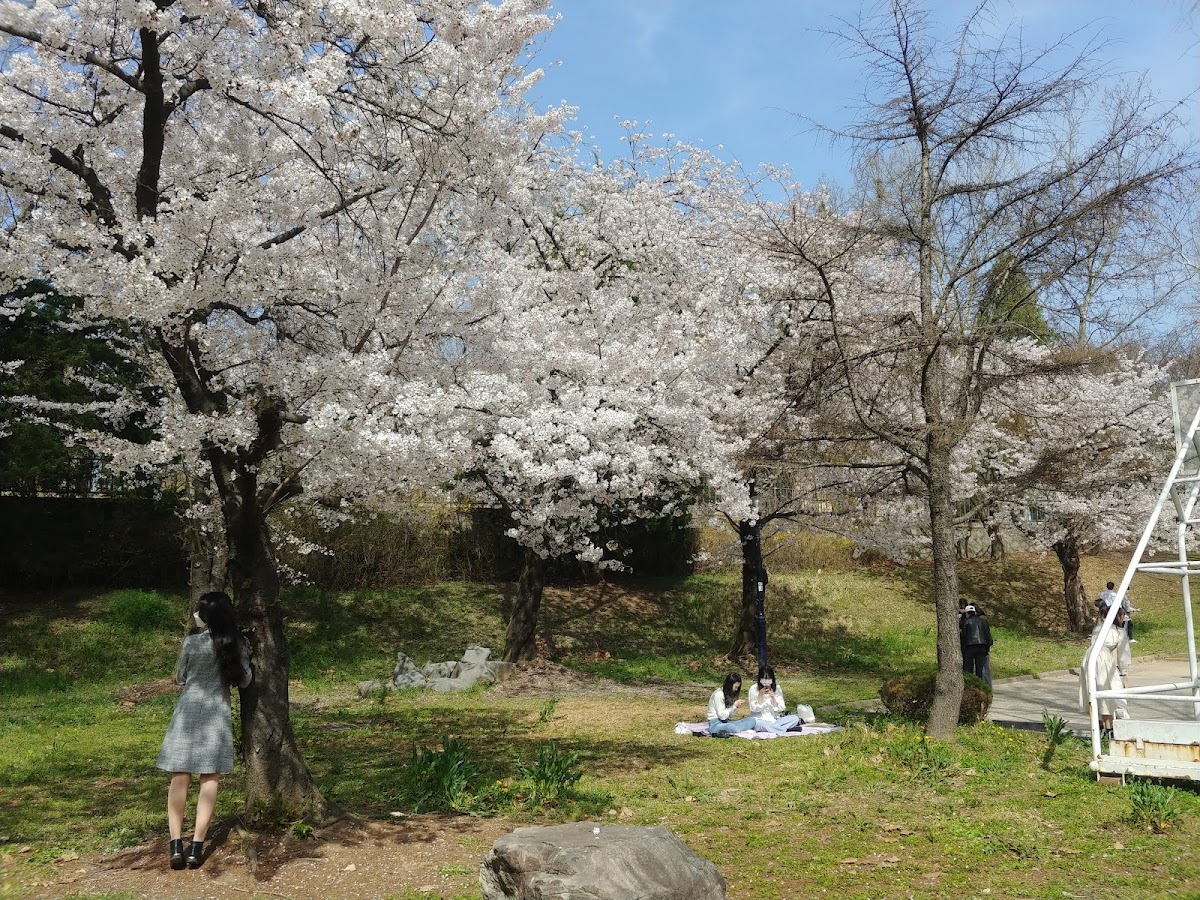 Chonbuk National University photo 8