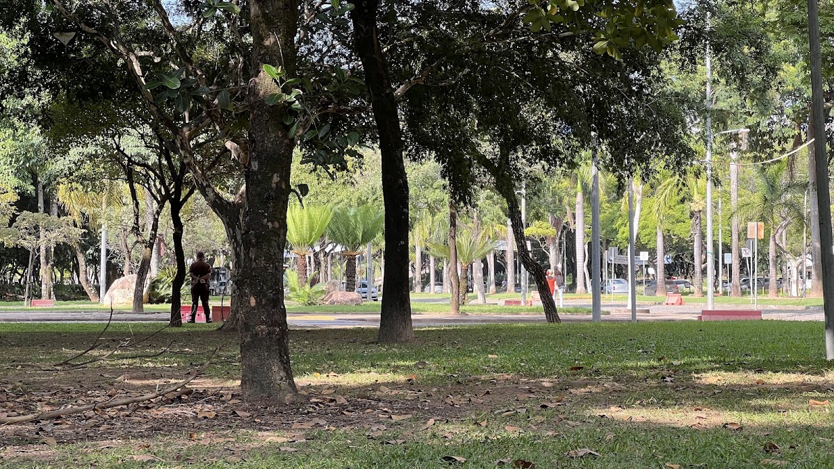 Federal University of Minas Gerais photo 1