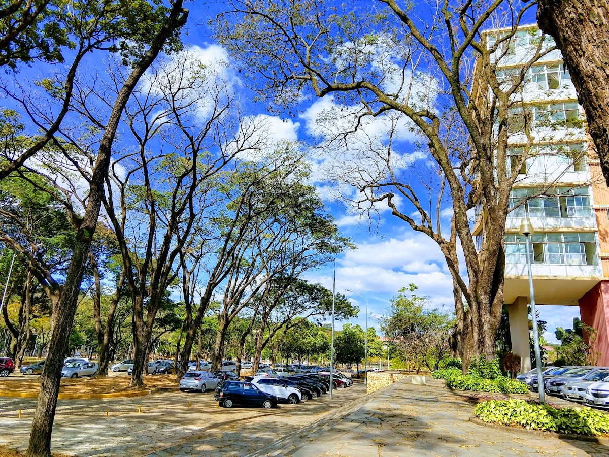 Federal University of Minas Gerais photo 5