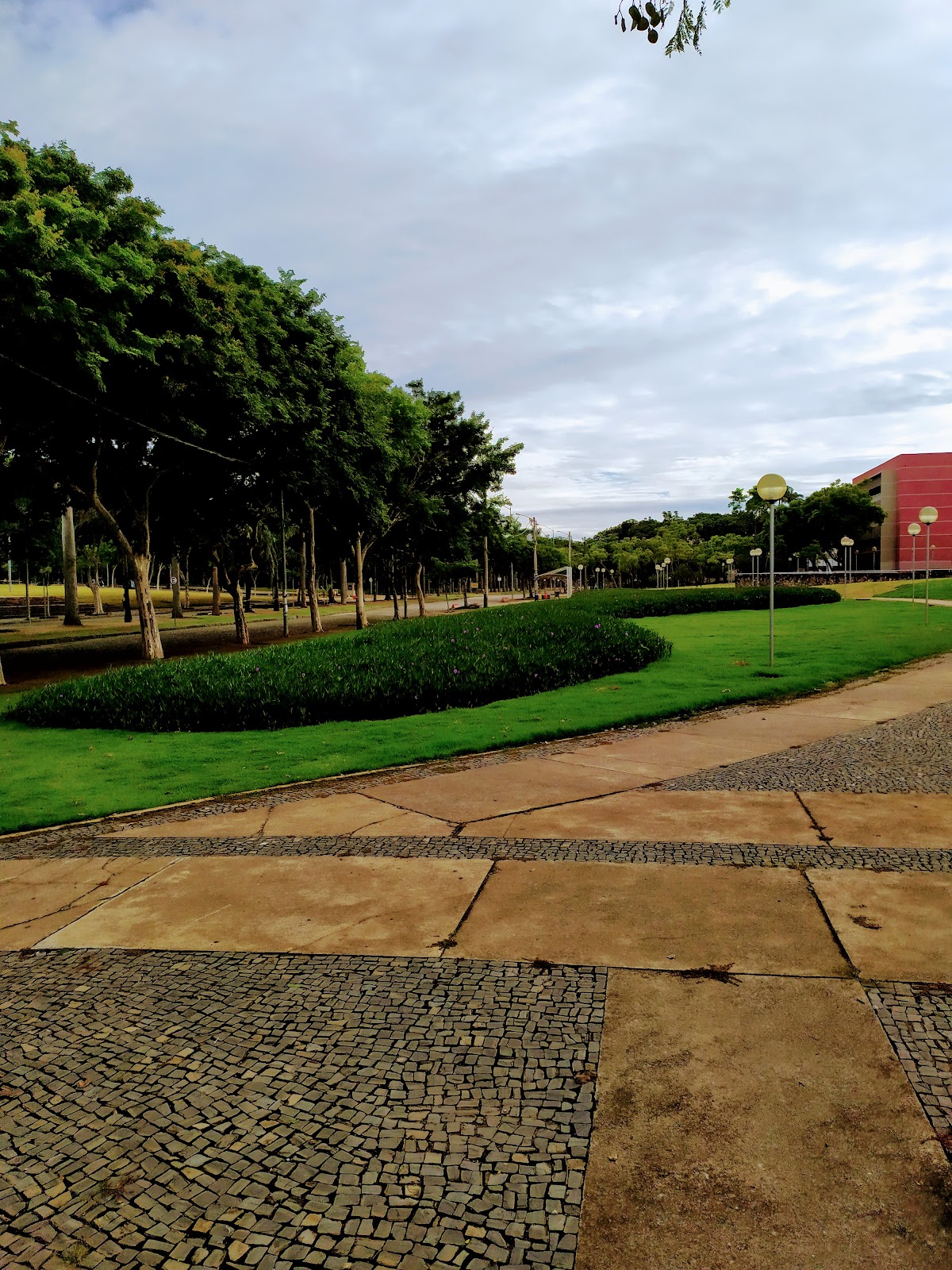 Federal University of Minas Gerais photo 8