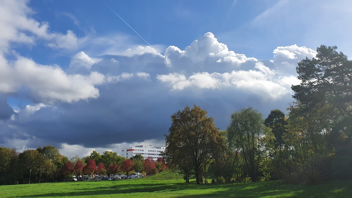Heinrich Heine University Düsseldorf photo 1