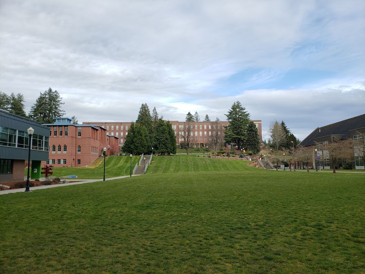 Saint Martins University photo 7