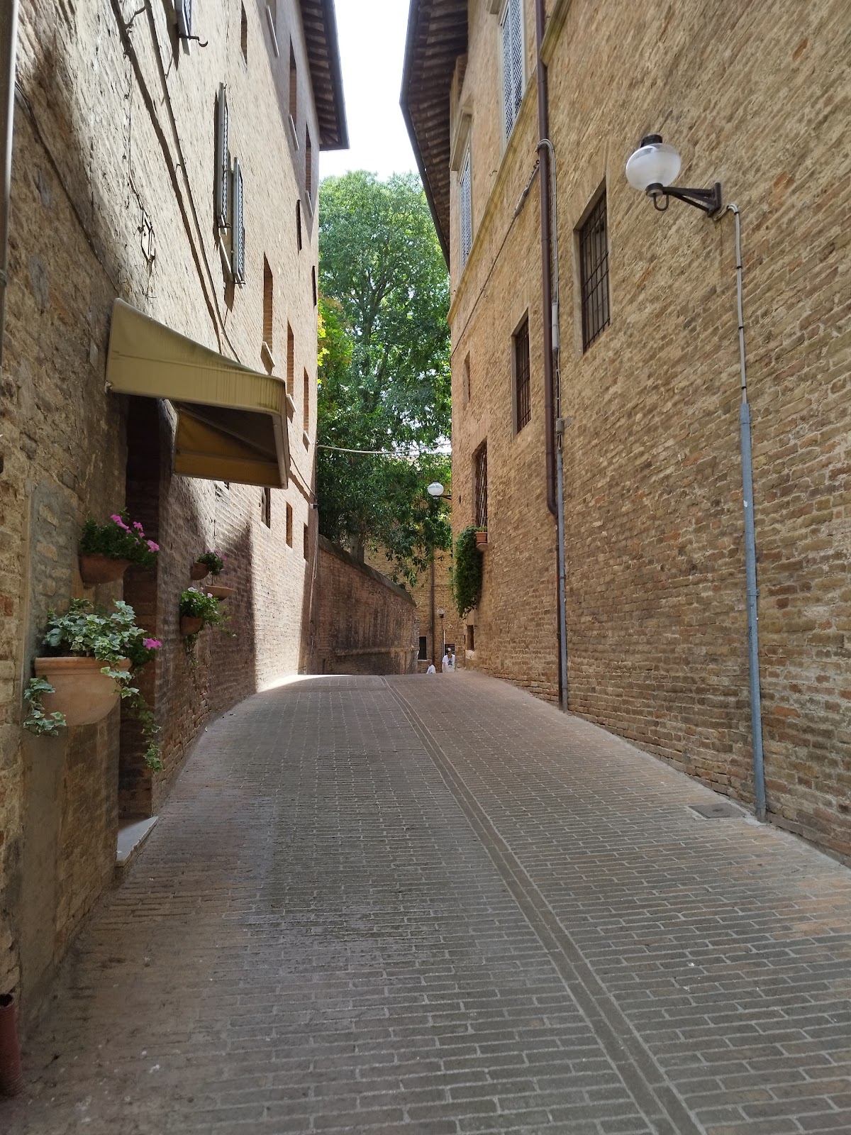 University of Urbino photo 8