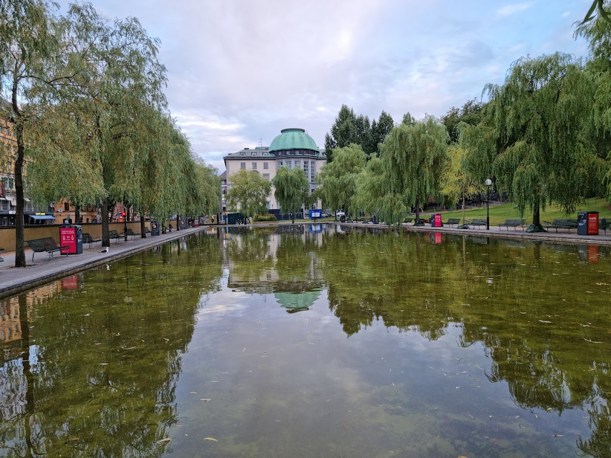 Handelshögskolan i Stockholm Executive Education photo 5