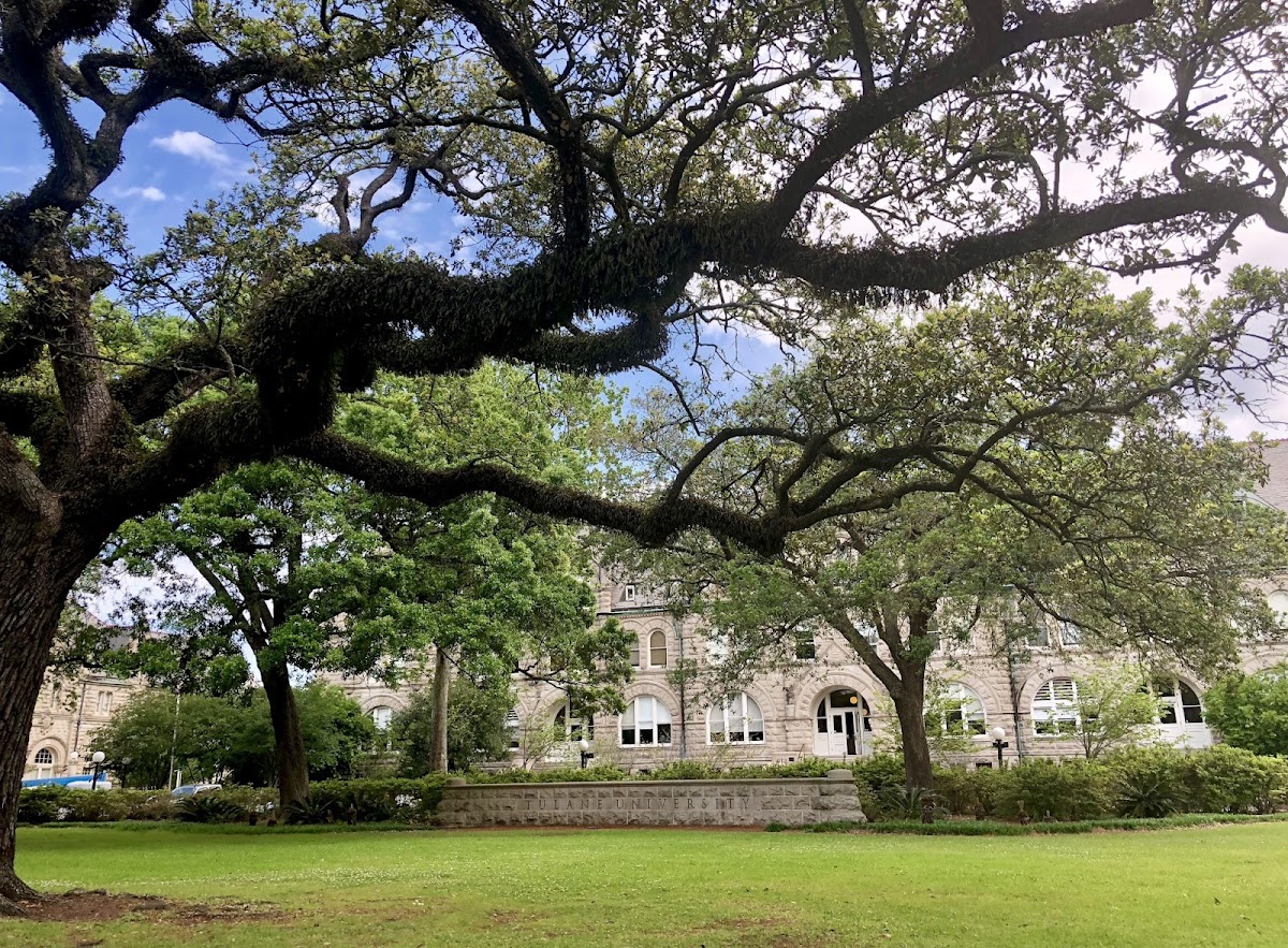 Tulane University photo 2