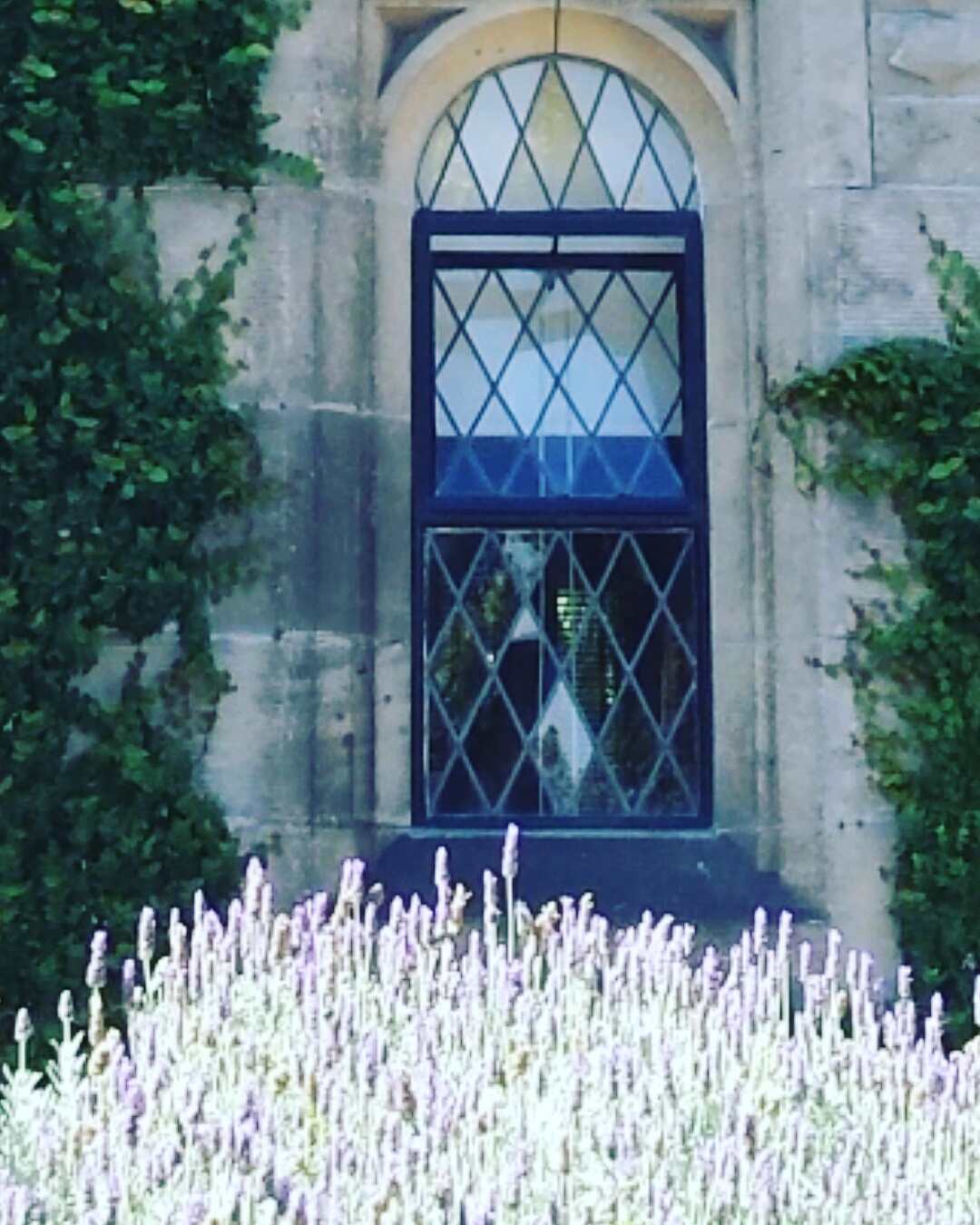 Trinity College Theological School photo 7